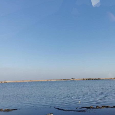 Plages De Camargue Et Logement Dans Un Site Calme De Reve Arles Esterno foto