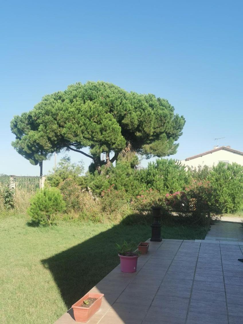 Plages De Camargue Et Logement Dans Un Site Calme De Reve Arles Esterno foto